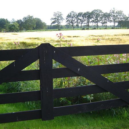 Bed En Breakfast De Boksloot Ravenswoud Zewnętrze zdjęcie