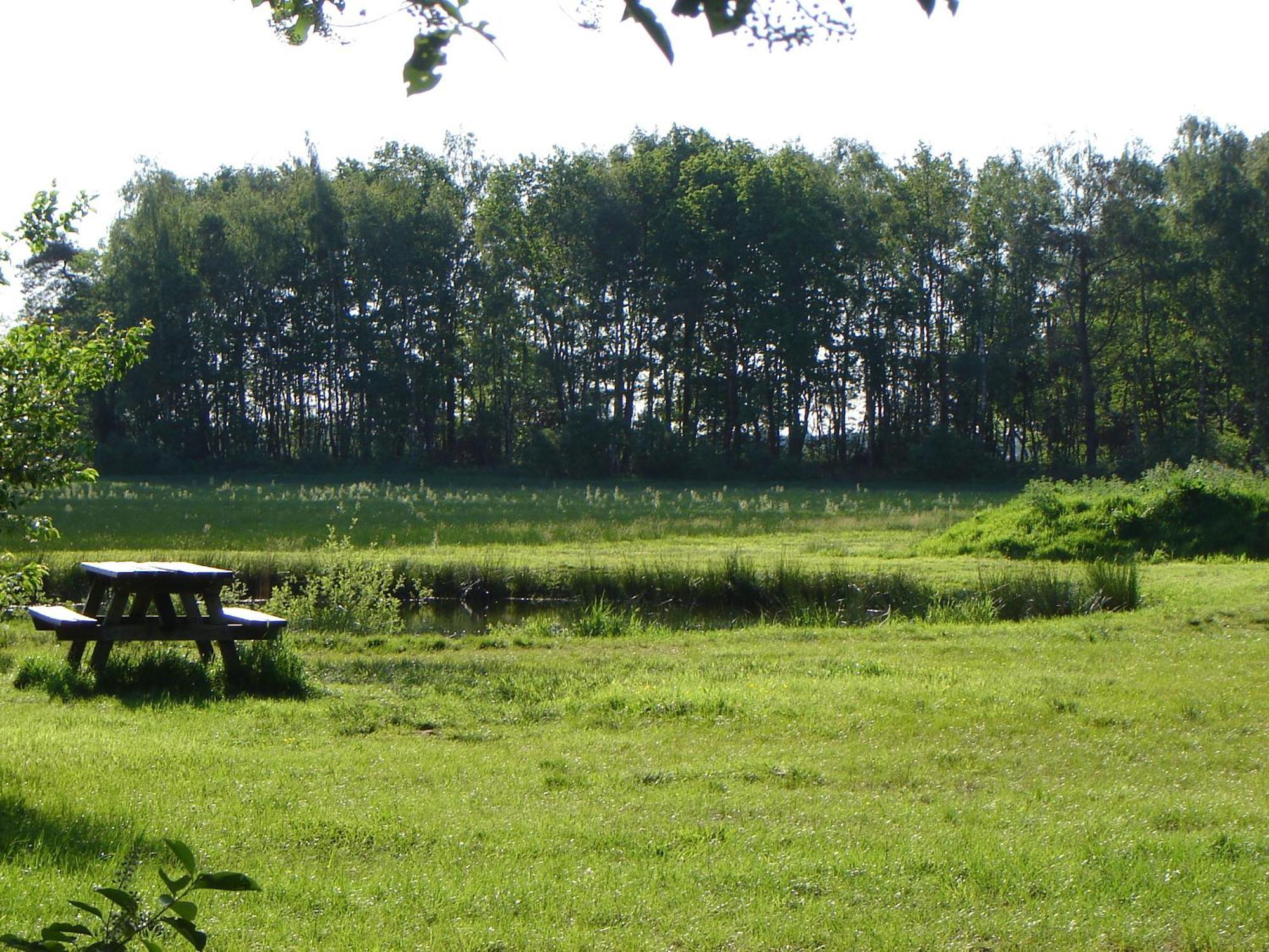 Bed En Breakfast De Boksloot Ravenswoud Zewnętrze zdjęcie
