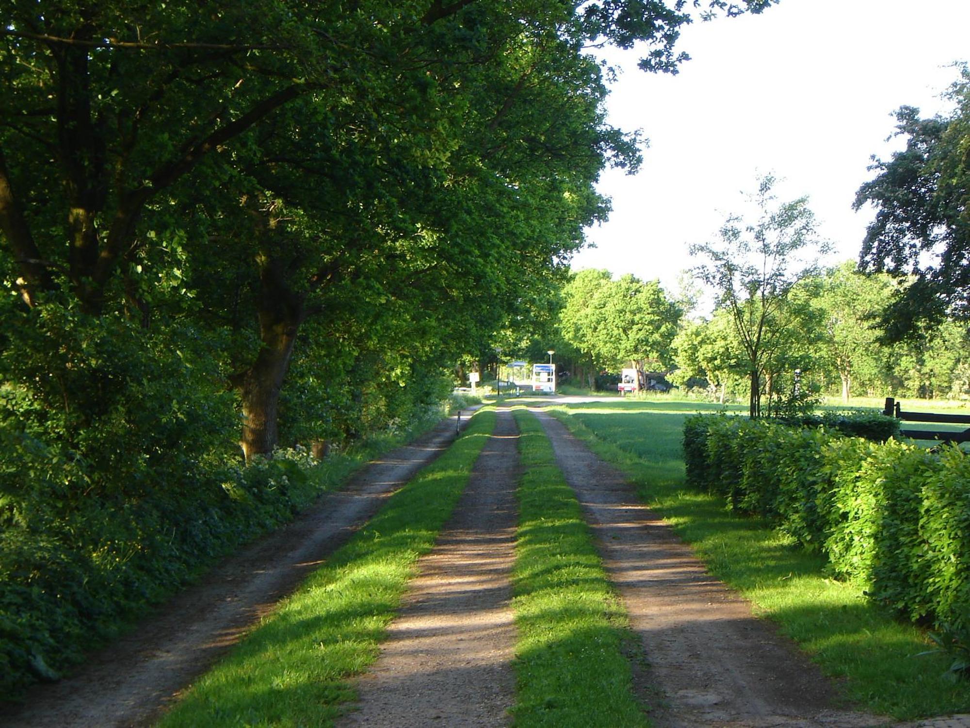 Bed En Breakfast De Boksloot Ravenswoud Zewnętrze zdjęcie